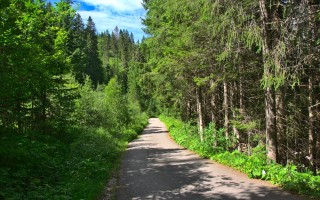  Weg nach Fallerschein